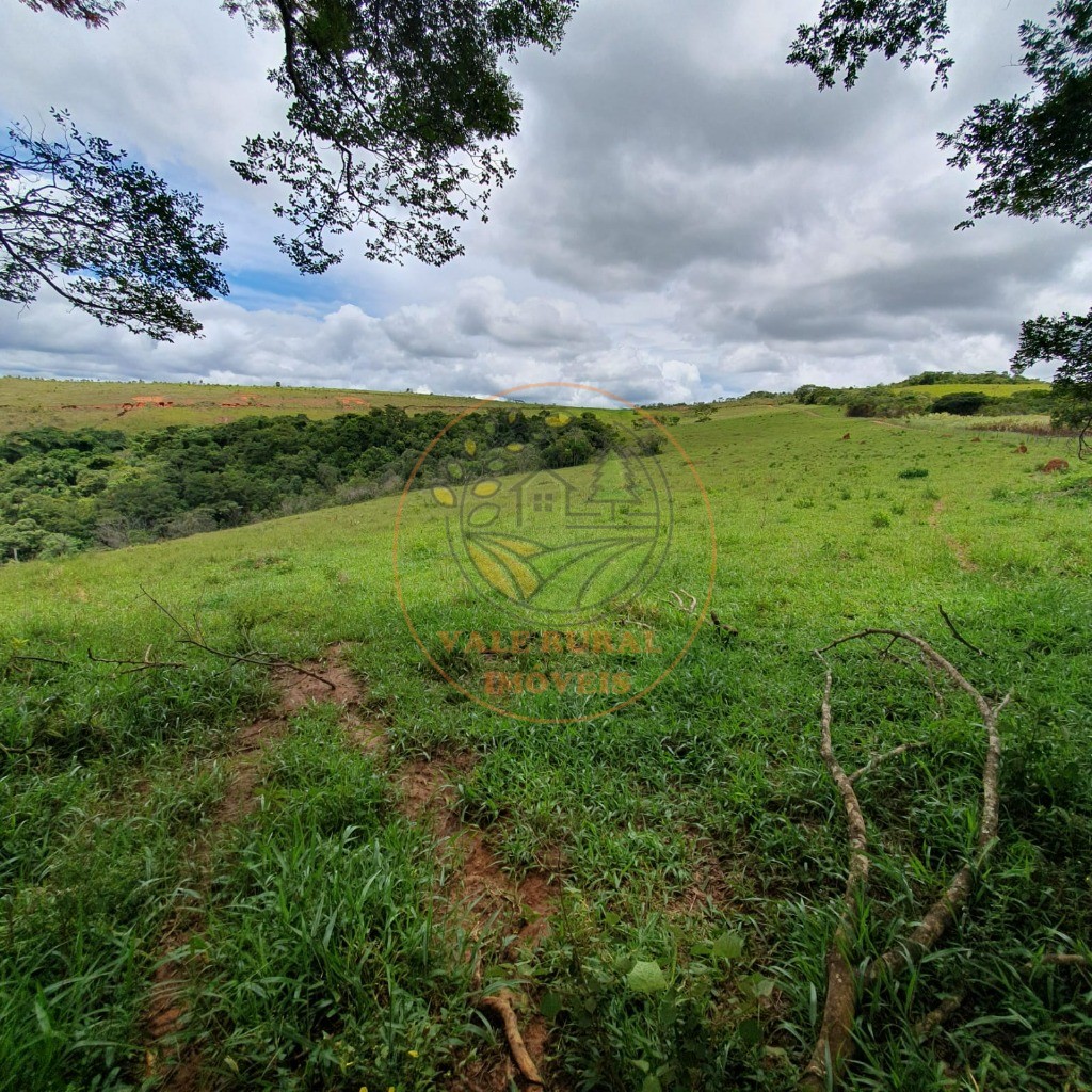Fazenda - Foto 18