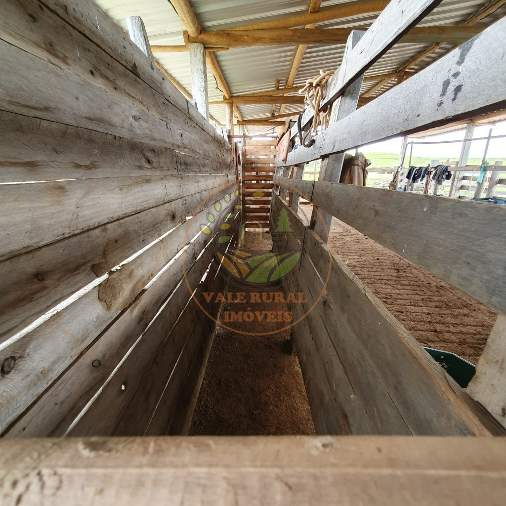 Fazenda - Foto 7