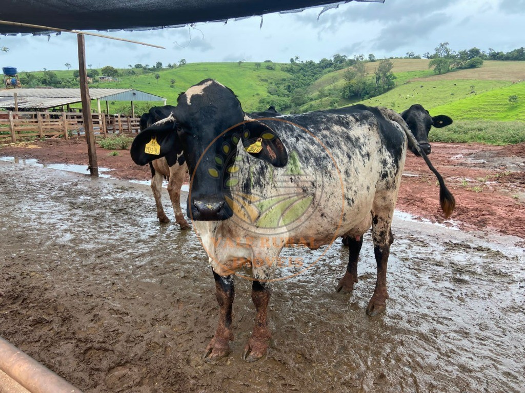 Fazenda, 47 m² - Foto 10