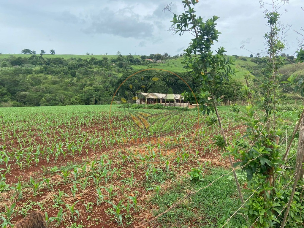 Fazenda, 47 m² - Foto 17
