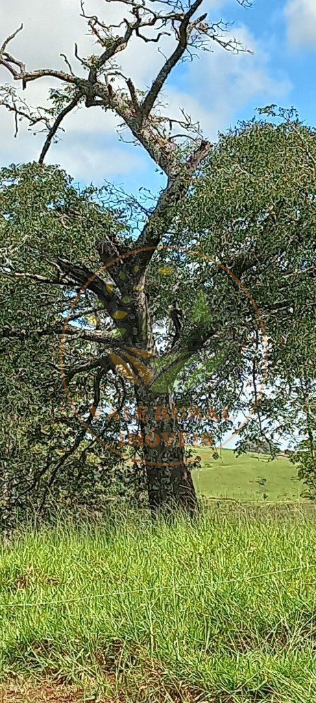 Fazenda, 108 m² - Foto 21