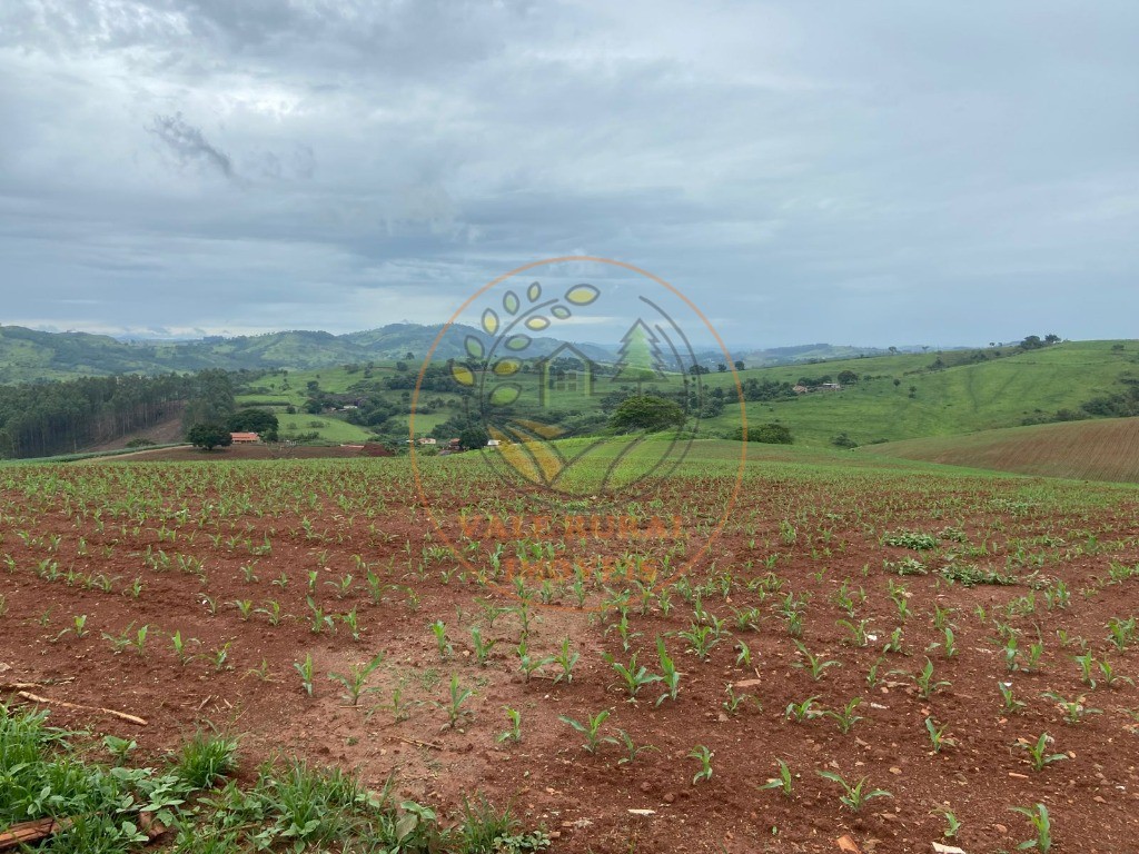 Fazenda, 47 m² - Foto 19