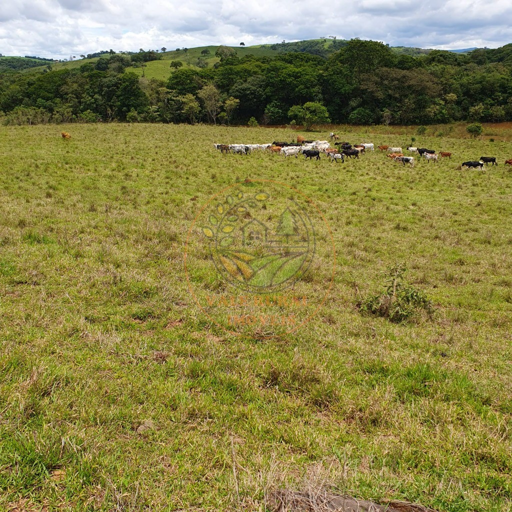 Fazenda - Foto 2