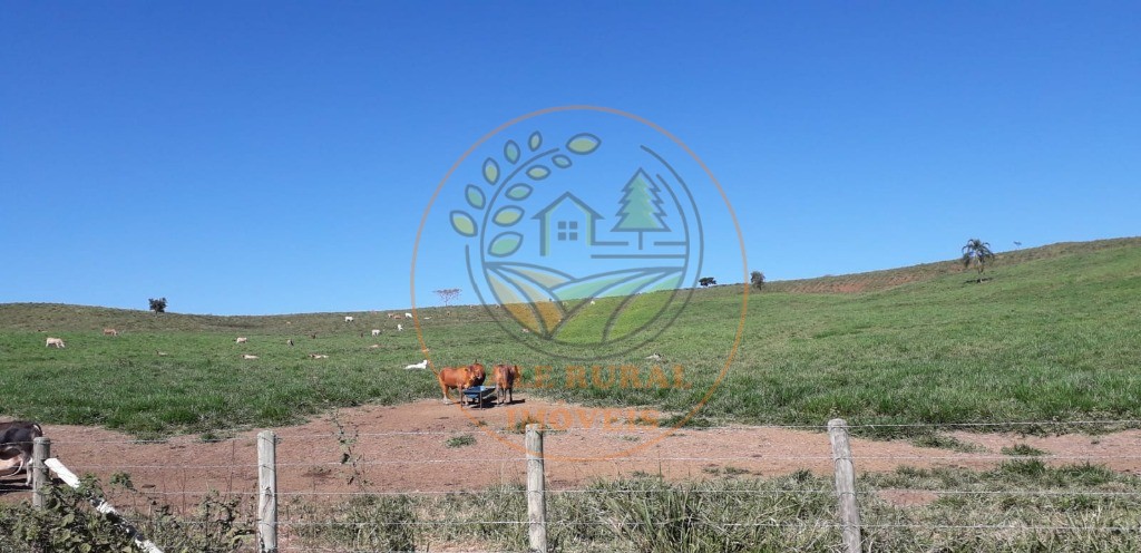 Fazenda, 106 m² - Foto 31