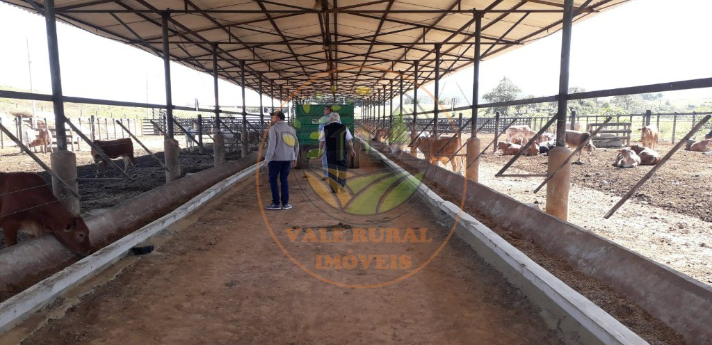 Fazenda, 106 m² - Foto 13