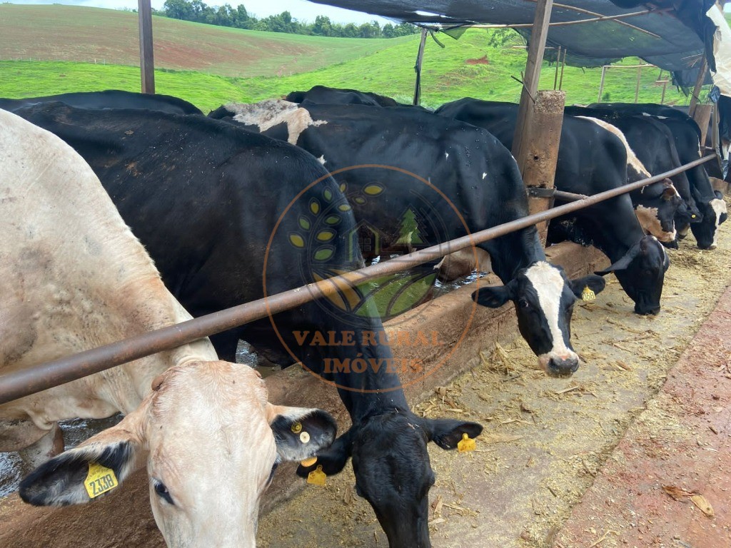 Fazenda, 47 m² - Foto 9