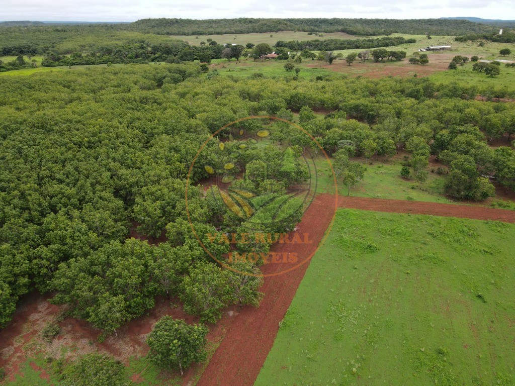 Fazenda - Foto 3