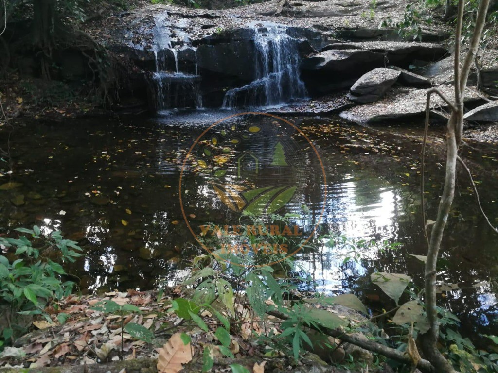 Fazenda - Foto 1