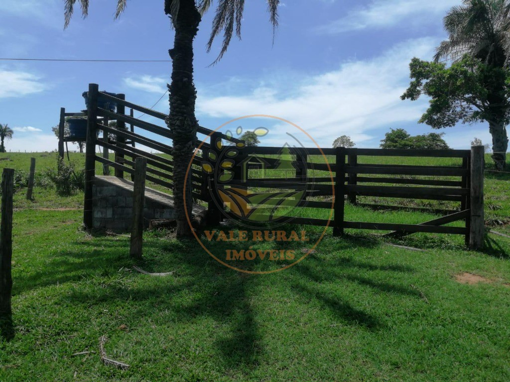 Fazenda - Foto 23