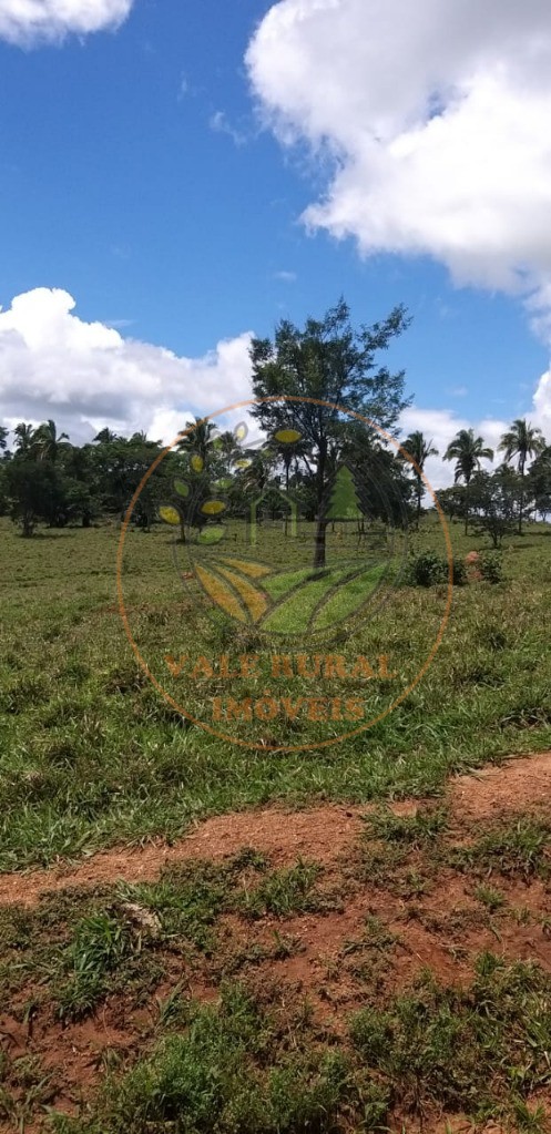 Fazenda - Foto 5