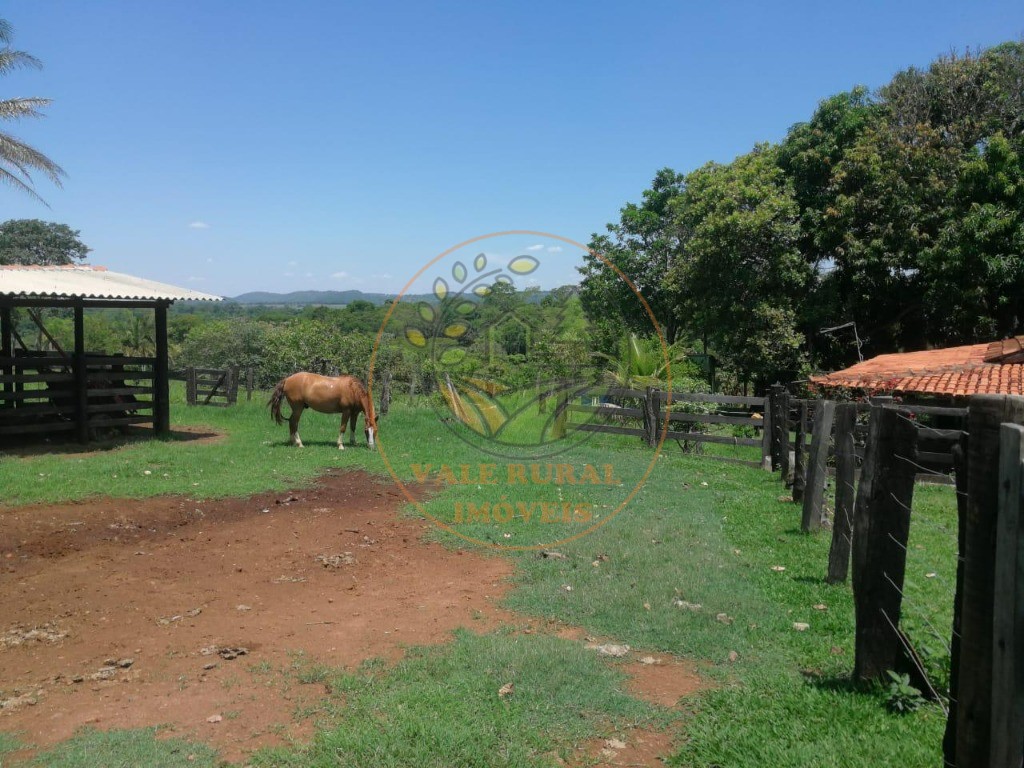 Fazenda - Foto 22