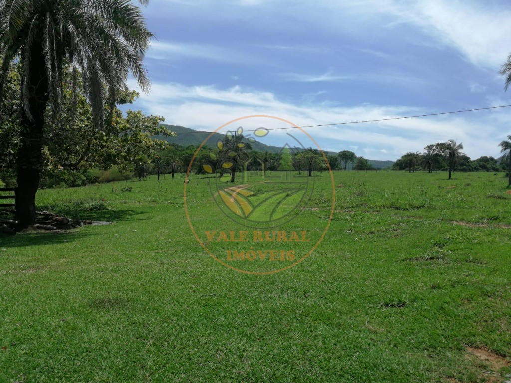 Fazenda - Foto 26
