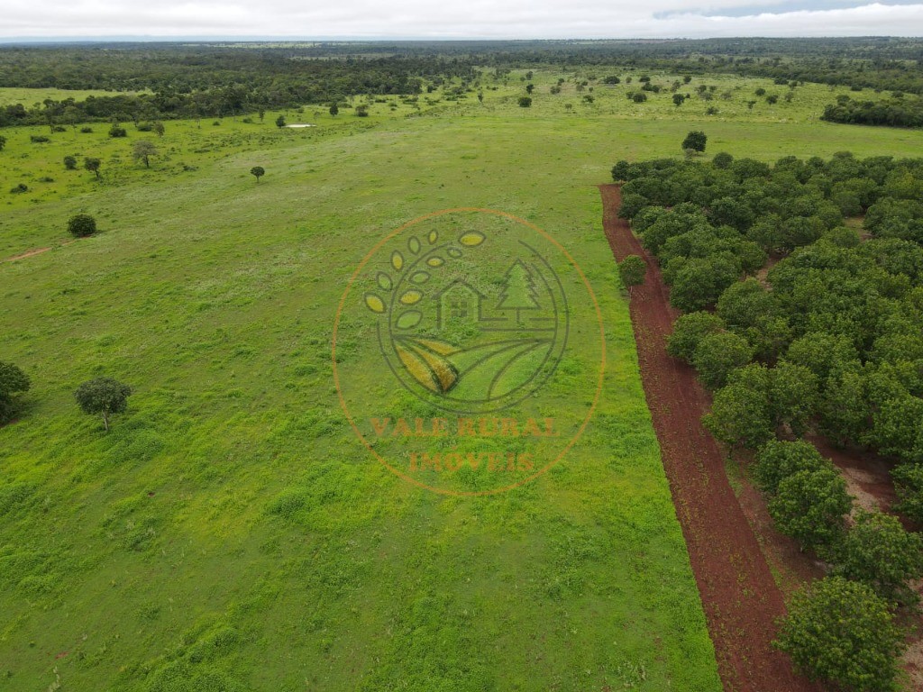 Fazenda - Foto 5