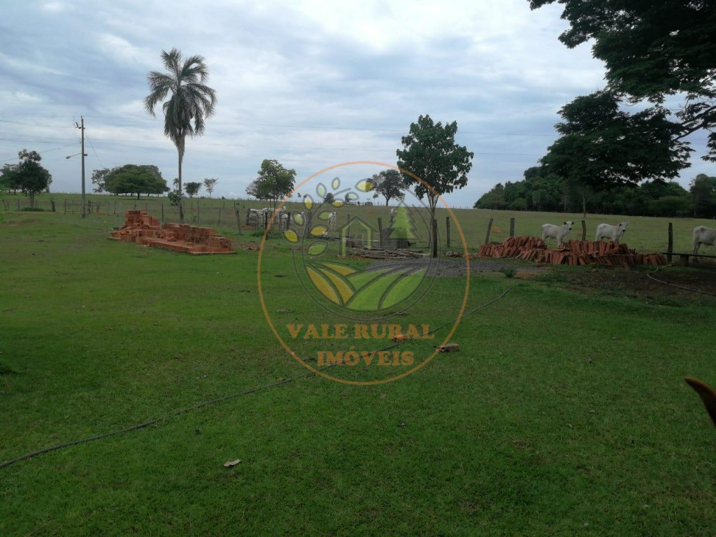 Fazenda - Foto 19
