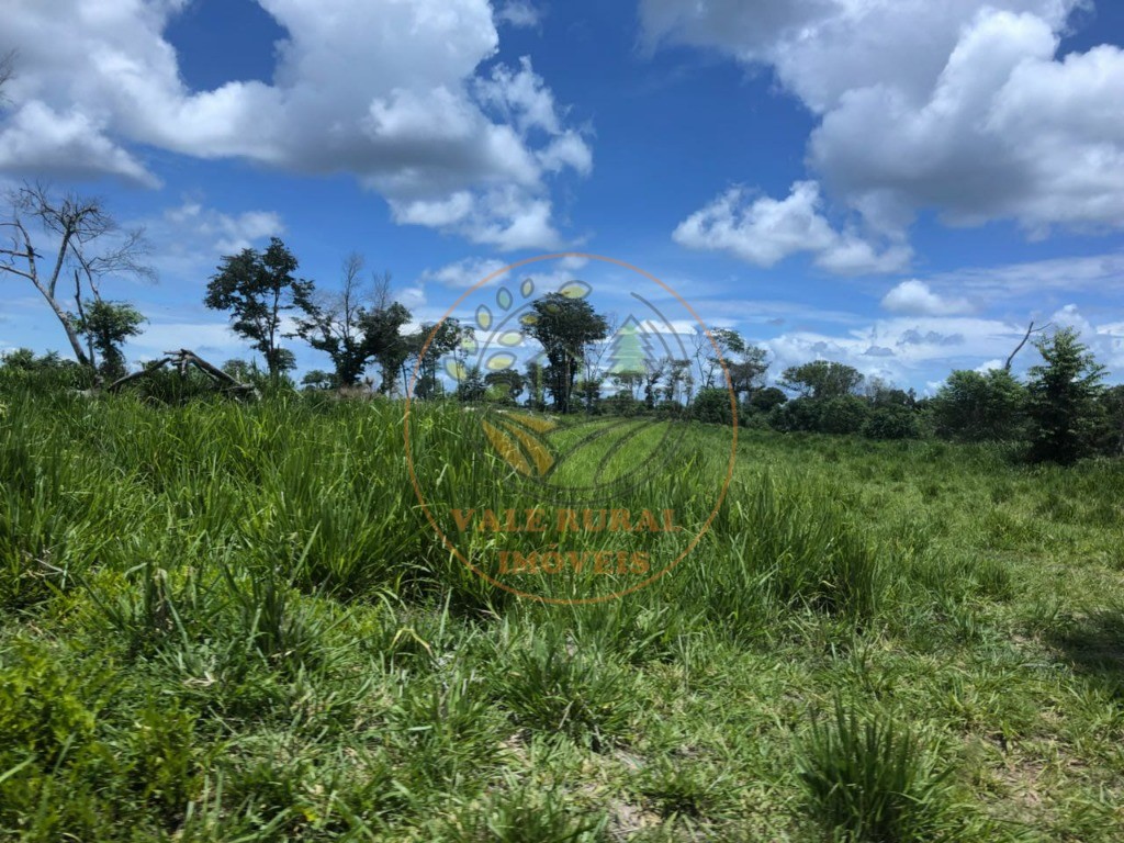 Fazenda - Foto 9