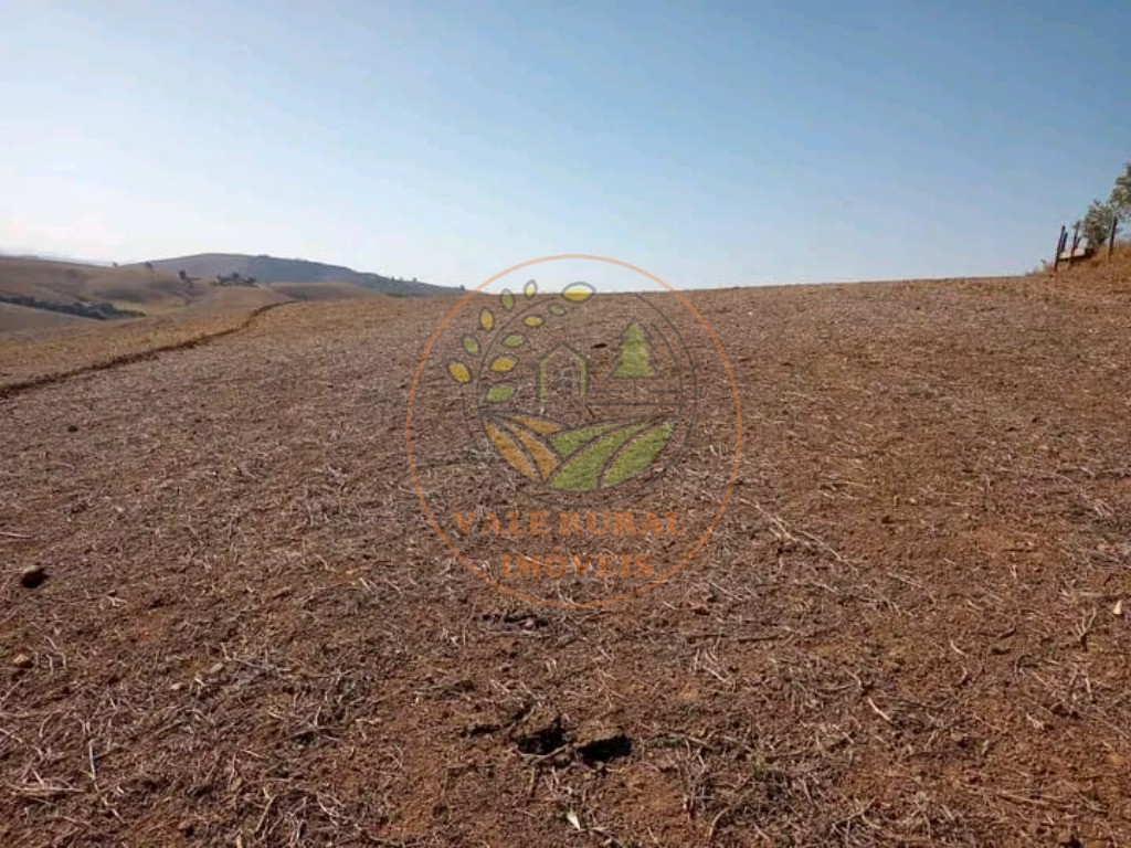 Fazenda - Foto 4
