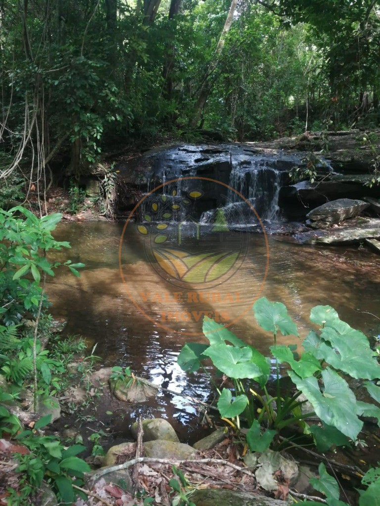 Fazenda - Foto 2