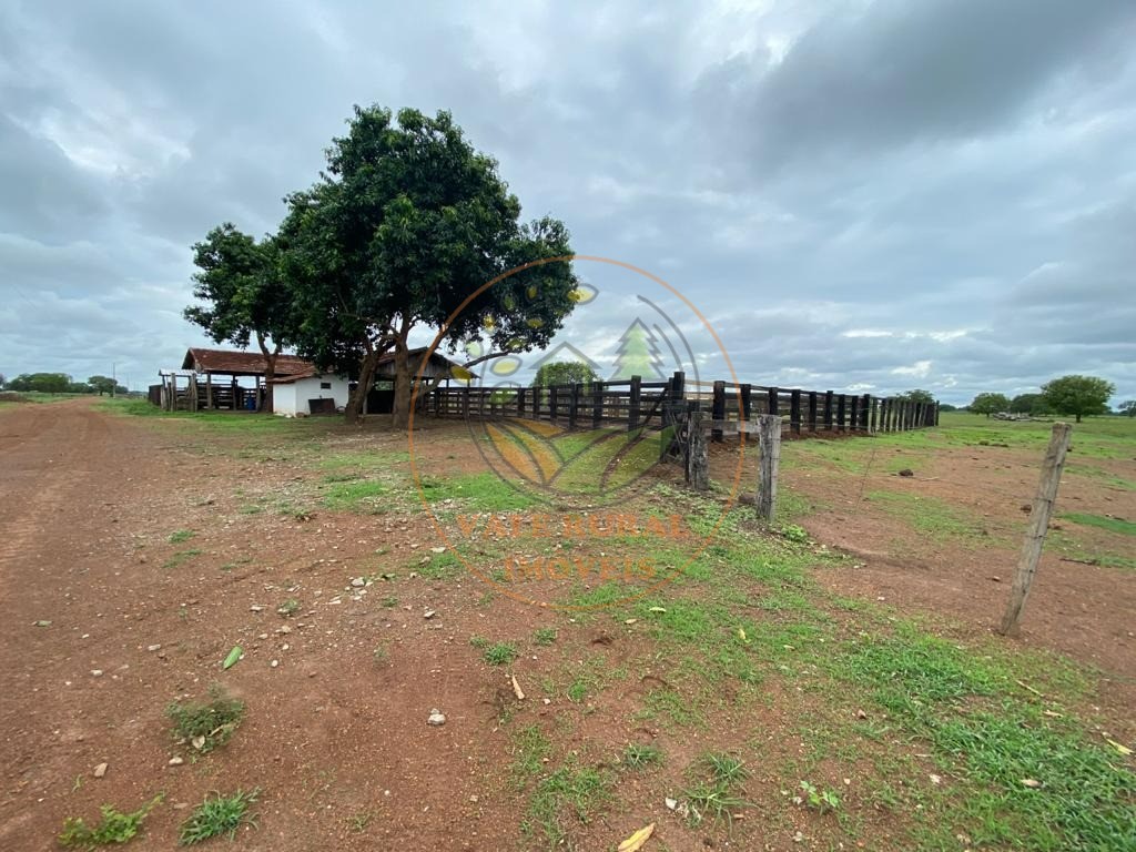 Fazenda, 1 quarto - Foto 11