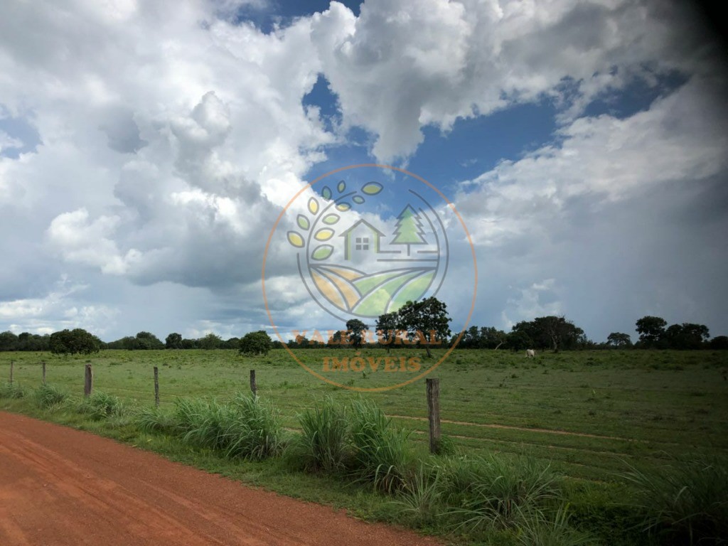Fazenda - Foto 4