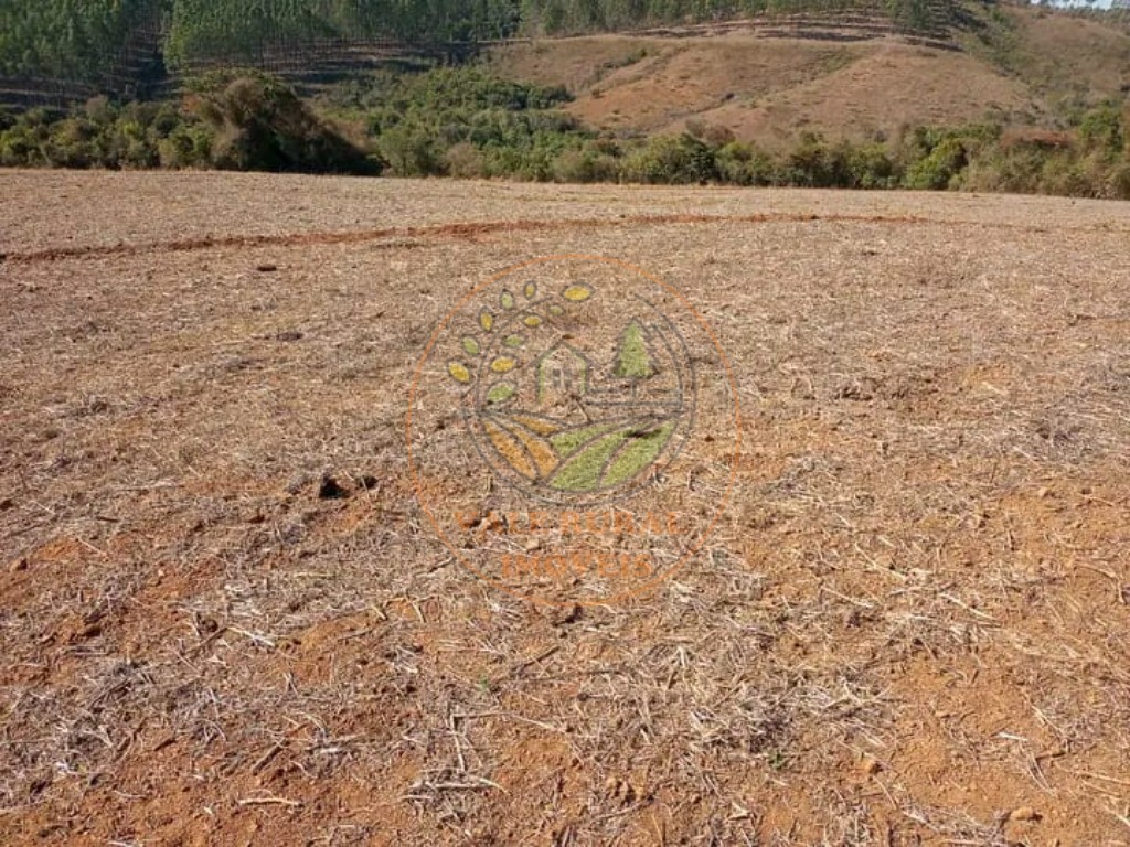 Fazenda - Foto 5