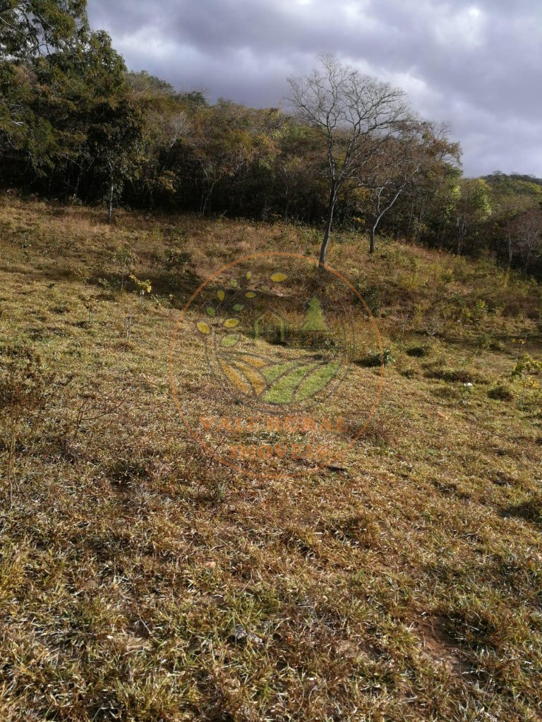 Fazenda - Foto 7