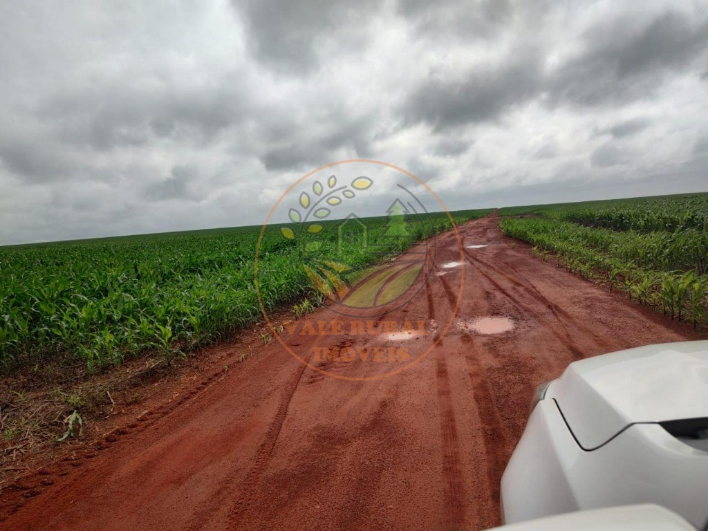 Fazenda - Foto 12