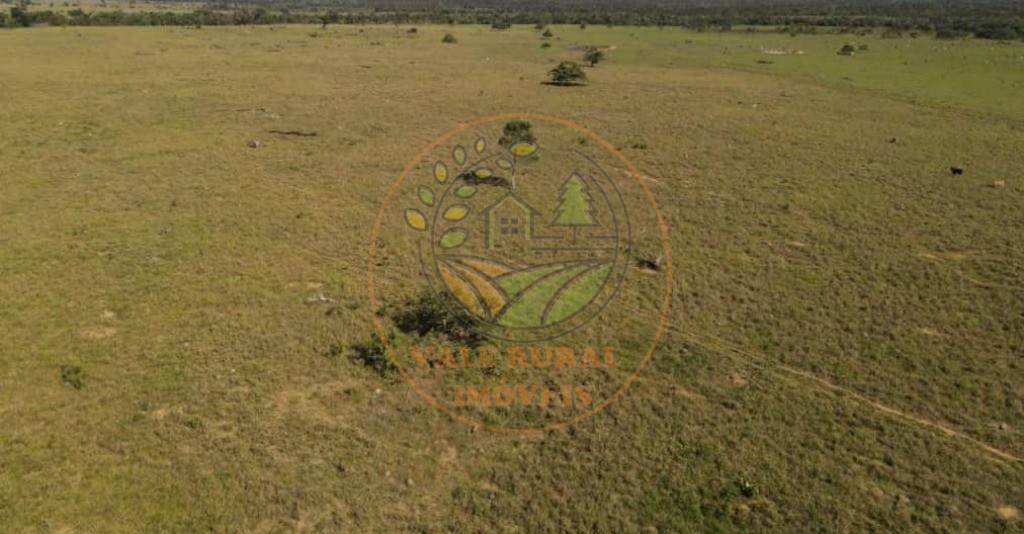 Fazenda, 1 quarto - Foto 20