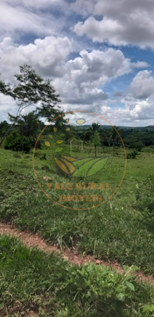Fazenda - Foto 8