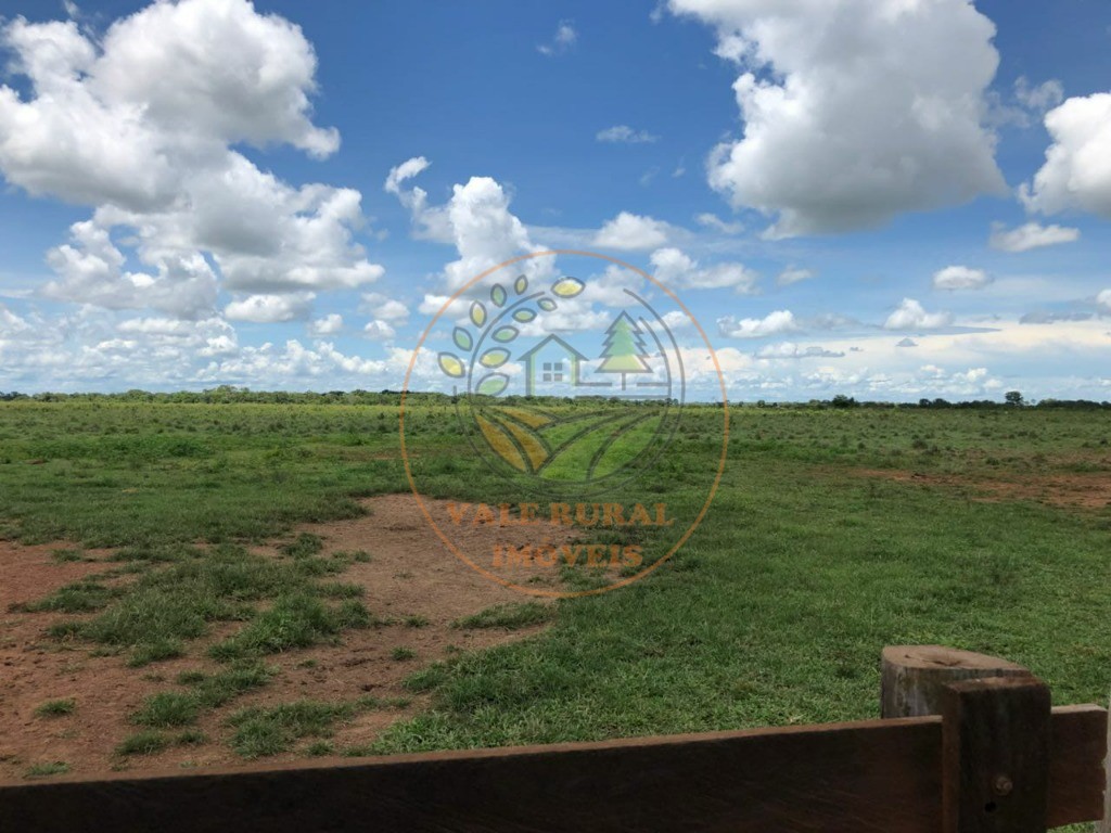 Fazenda - Foto 1