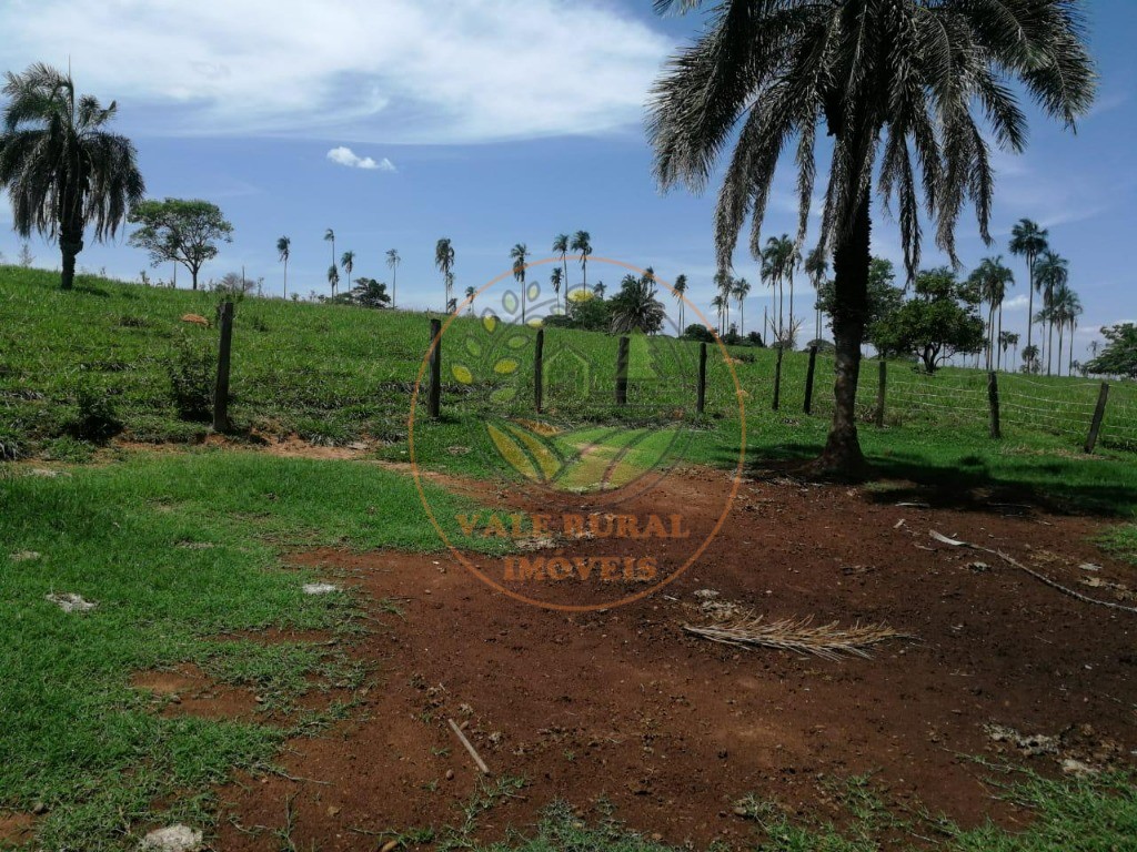 Fazenda - Foto 4