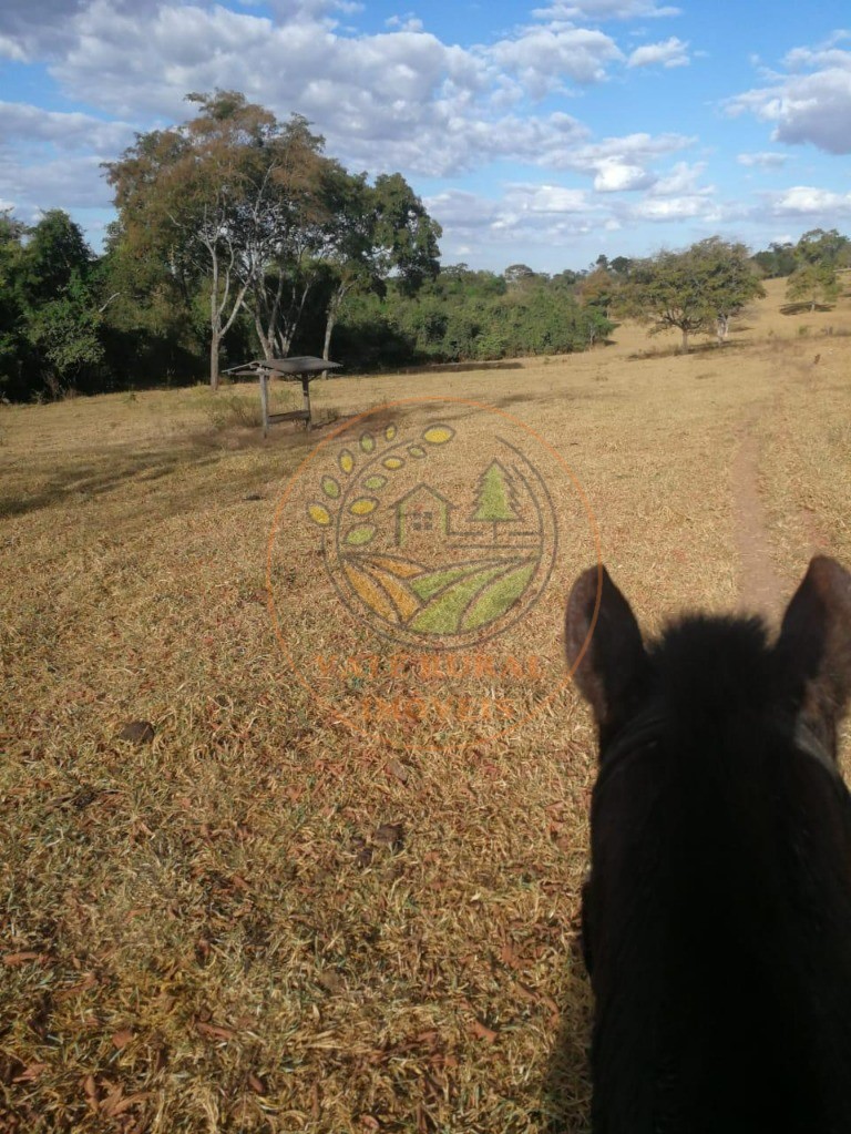 Fazenda - Foto 11