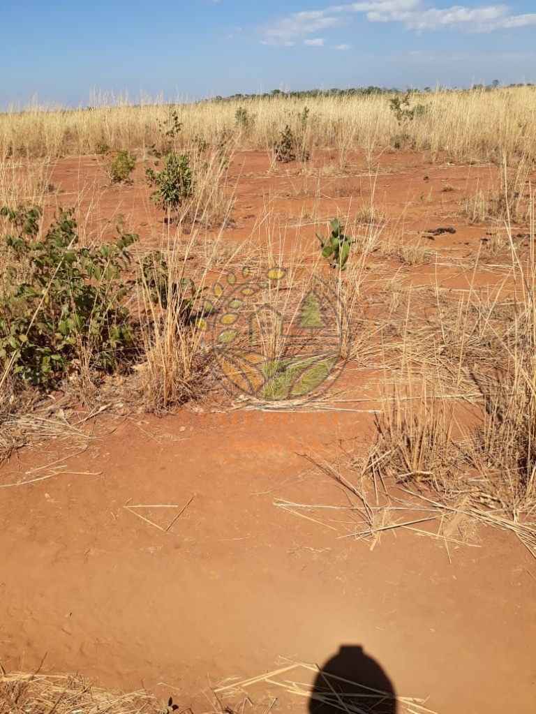 Fazenda - Foto 5