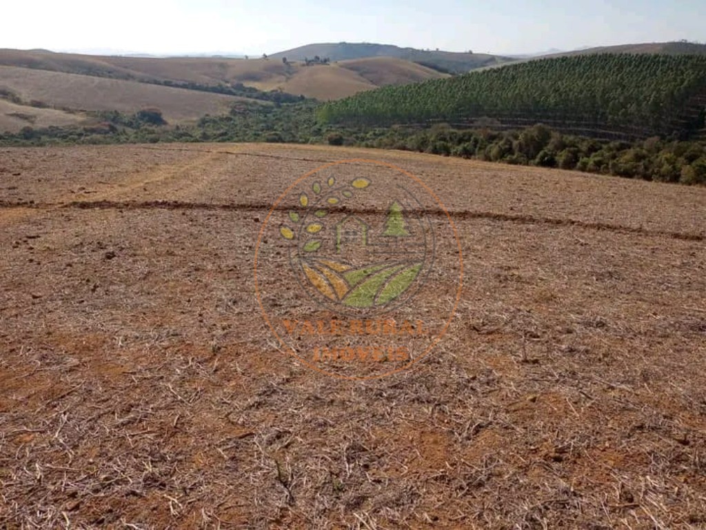 Fazenda - Foto 3