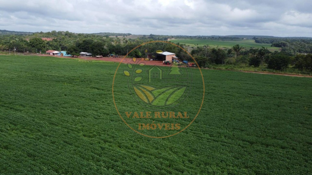 Fazenda - Foto 16