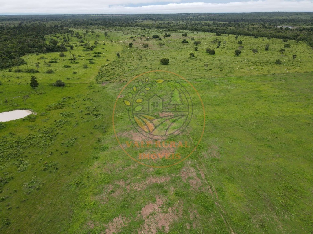 Fazenda - Foto 6