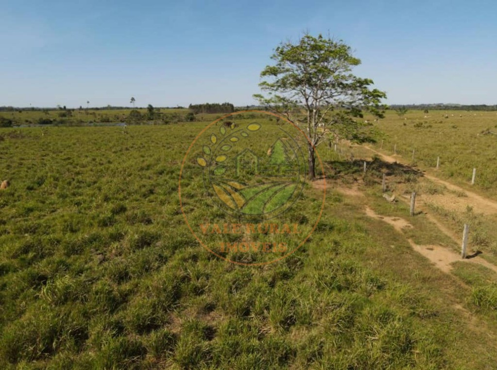Fazenda, 1 quarto - Foto 28