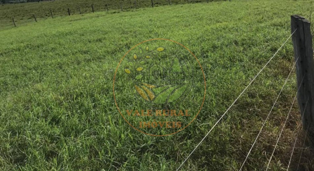 Fazenda, 1 quarto - Foto 18