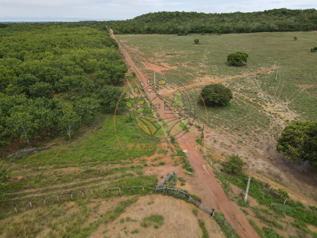 Fazenda - Foto 8