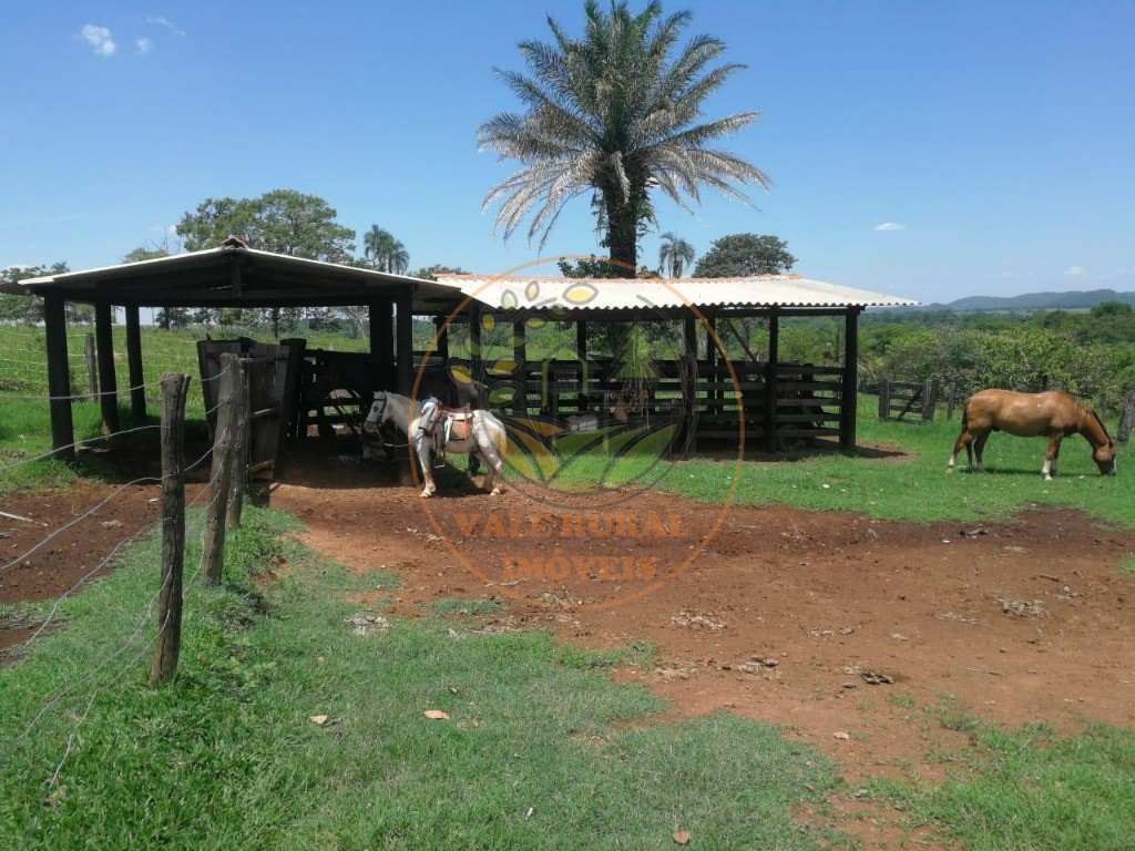 Fazenda - Foto 20