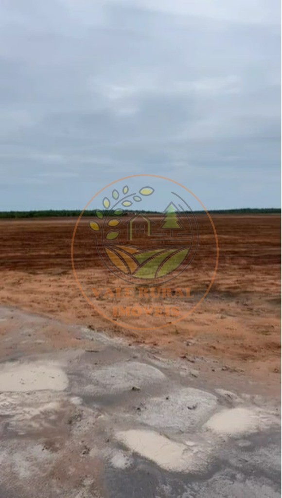 Fazenda - Foto 4