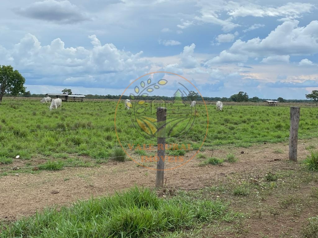 Fazenda, 1 quarto - Foto 14
