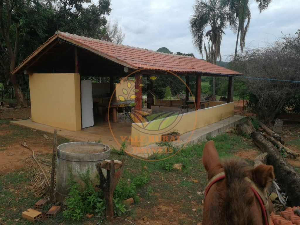 Fazenda - Foto 17