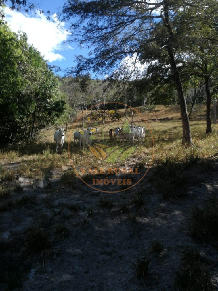 Fazenda - Foto 12