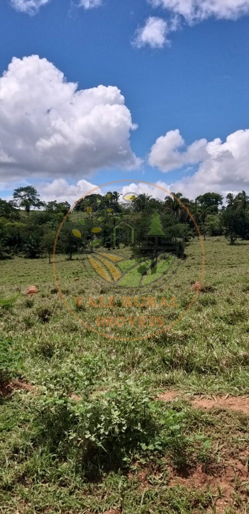 Fazenda - Foto 10