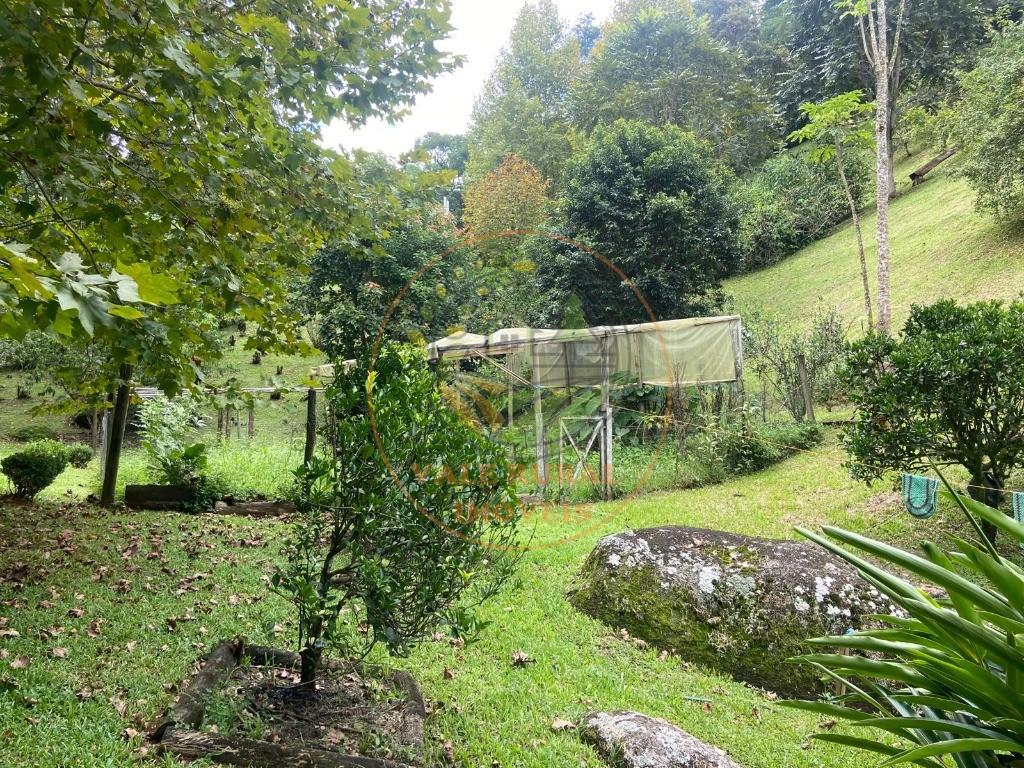 Sítio, 2 quartos, 1 m² - Foto 34