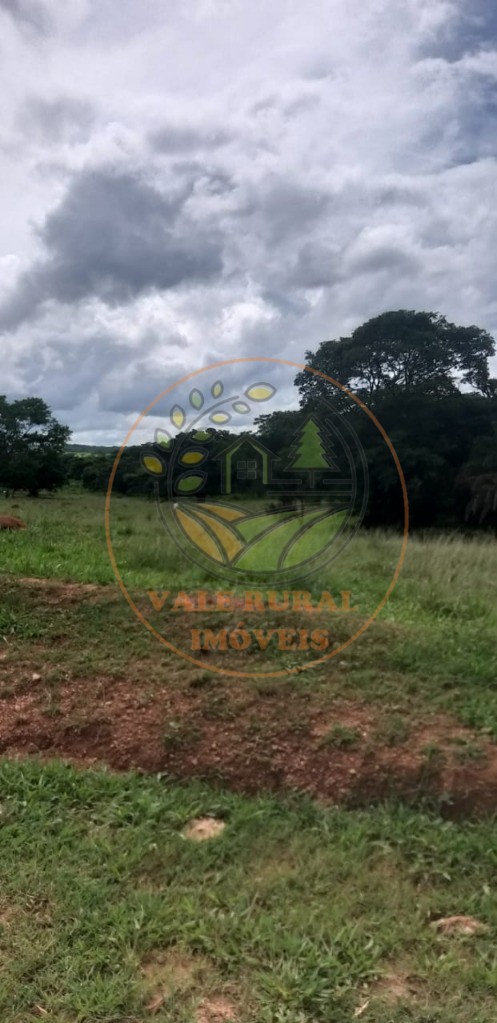 Fazenda - Foto 11