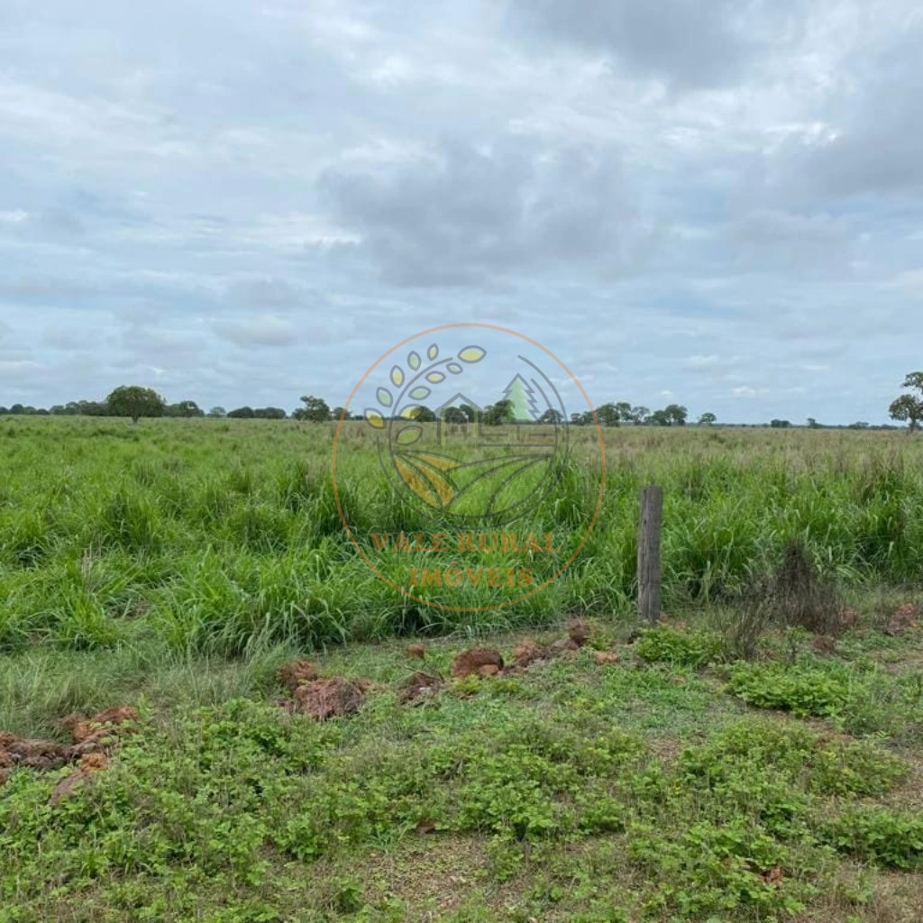 Fazenda, 1 quarto - Foto 8