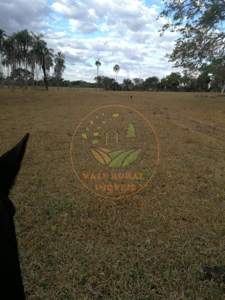 Fazenda - Foto 6