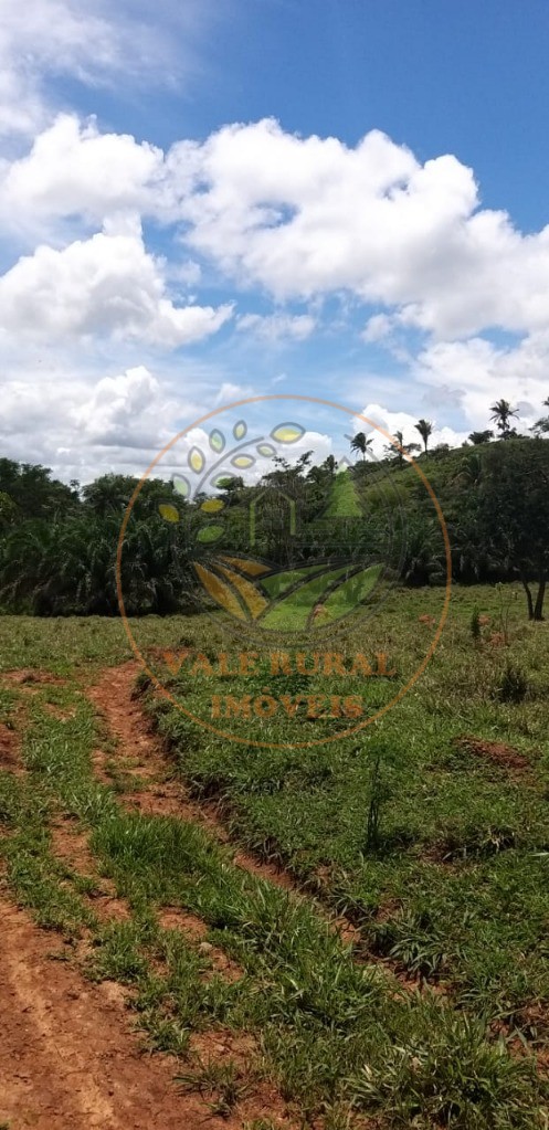 Fazenda - Foto 2