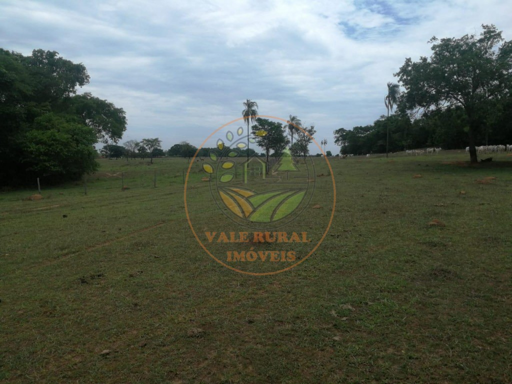 Fazenda - Foto 18